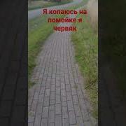 Я Копаюсь На Помойке Как Червяк Speed Up