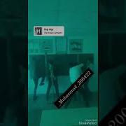 Бачахои Хулиган
