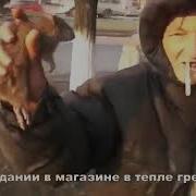 Зверь Крыса Хорошая Красивая Это Моя