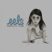 Guest List Eels
