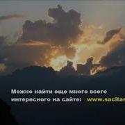 Нохчи Ладуха Кхайкам Из Сочи
