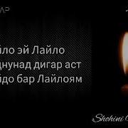 Шохин Насими Шамхои Сухтаро Пурс