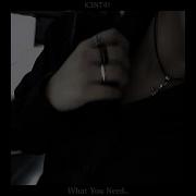 K3Nt4 What You Need