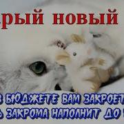 Весёлое Поздравление Со Старым Новым Годом