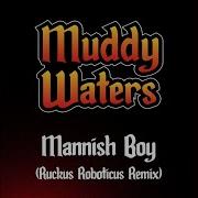 Mannish Boy Ruckus Roboticus Remix Muddy
