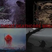 Deathcore Breakdown Compilation