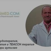 Трудотерапия Холдинг Терапия И Teacch Терапия При Аутизме