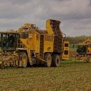 Besenthal Gerdau Mit 2 Ropa Euro Tiger Rübenroder Bei Der Zuckerrüben