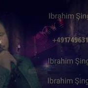 Ibrahim Shingali ابراهيم شنكالي