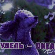 Песня Пуделя Из Шоу Маска