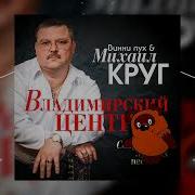 Винни Пух Владимирский Централ