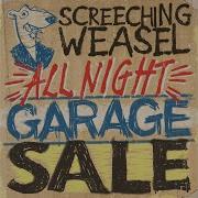 Screeching Weasel Nothing Matters
