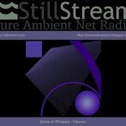 Grove Of Whispers Still Stream Live Replay