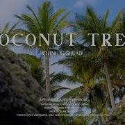 Coconut Tree Ching G Squad