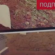 Багуристон Гузар Кун То Бубини