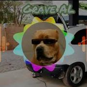 Rave Tony Canabrava Seu Ex É Feio Com Grave Brabo Download