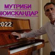 Мутриби Шоискандар 2022