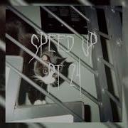 Курим Нервы Speed Up