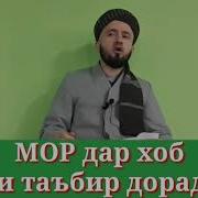 Дидани Мор Дар Хоб Чи Таъбир Дорад