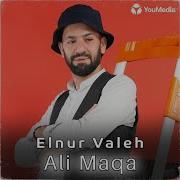 Ali Maqa Elnur Valeh