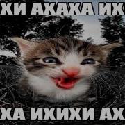 Ты Слишком Много Пиздишь Для Человека С Поджигаемой Квартирой
