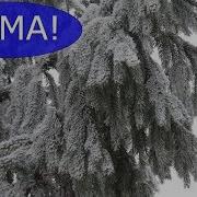 Вот И Пришла К Нам Зима