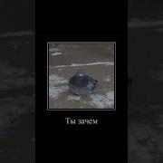 Ты Зачем Мой Чокопай Съел