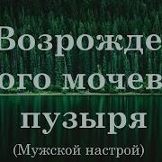 Сытин Возрождение Юного Мочевого Пузыря