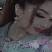 To Y Bop Eng Sara Sho X Xit Qo Shiqlar 2019