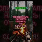 Песня Зодиак Дуэт