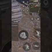 Fortnite Карие