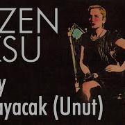 Unut Sezen Aksu