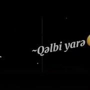 Gunu Qara Olan Menem Menem
