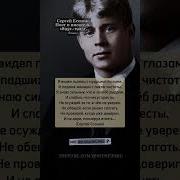 Я Видел Пьянец С Мудрыми Глазами
