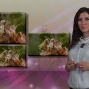 Днем И Ночью Трудяться Как Пчелки