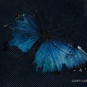 Danny Darko Butterfly 2020 Melodic Techno Mix