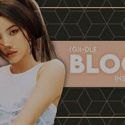 G I Dle Bloom Instrumental