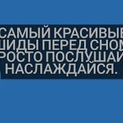 Самые Красивые Нашиды Перед Сном
