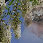 Я Акация Я Над Кручею Лидия Чуйкина И Нина Чурсина