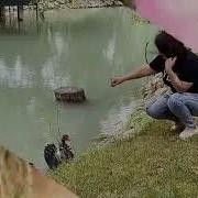 Mənim Aşkım Birdənədi Birdənə