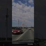 Дерево Умрет Во Благо