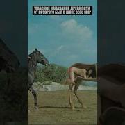 Николас Хаммонд История Древней Греции