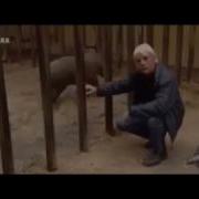 Ого Как Он Съебался