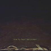 Forest Of The Broken Hearted