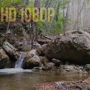 Пение Птиц И Шум Воды