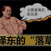 小岛大浪吹 非正经政经频道