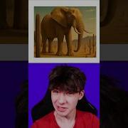 Animals Meme