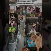 Пов Поехали С Классом На Экскурсию