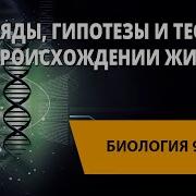 Биология 9 Класс Урок 28 Взгляды Гипотезы И Теории О Происхождении Жизни