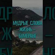 Прозы Про Жизнь